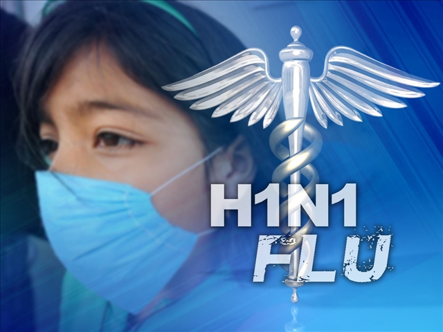 Swine flu vaccine nearing development: Official 